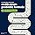 Vetnique Probiotics for Dogs, Digestive Health Soft Chews with Prebiotics & Digestive Enzymes, Gut & Immune Support Supplement