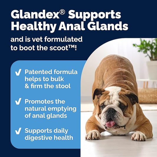 Vetnique Labs Advanced Digestive Probiotic Soft Chews for Dogs, Prebiotics & Digestive Enzymes for Gut, Immune & Stool Support